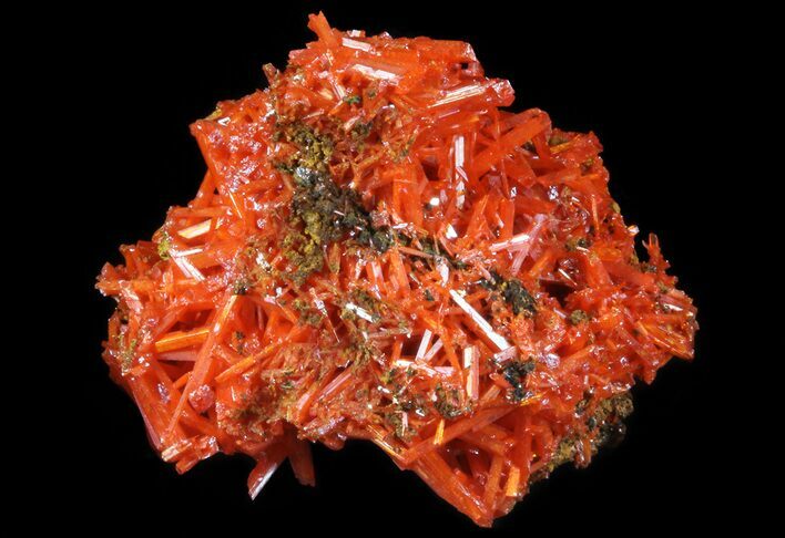 Bright Orange Crocoite Crystals - Tasmania #64331
